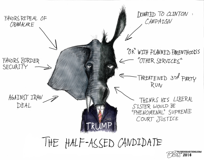 Half-Assed Candidate revised