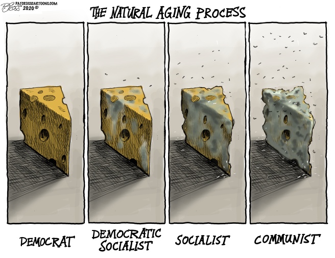 The Aging Process